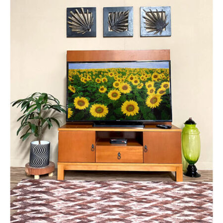 TV Unit With Panel